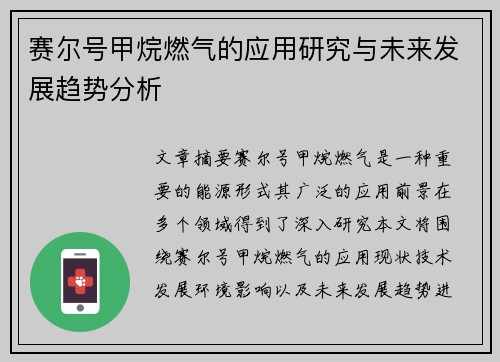 赛尔号甲烷燃气的应用研究与未来发展趋势分析 赛尔号甲烷燃气的应用研究与未来发展趋势分析